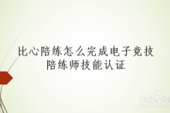 解放军海军战术标图李尔夫高尔夫比赛2024马来西亚羽毛球赛分析王楚钦陪练牛冠凯